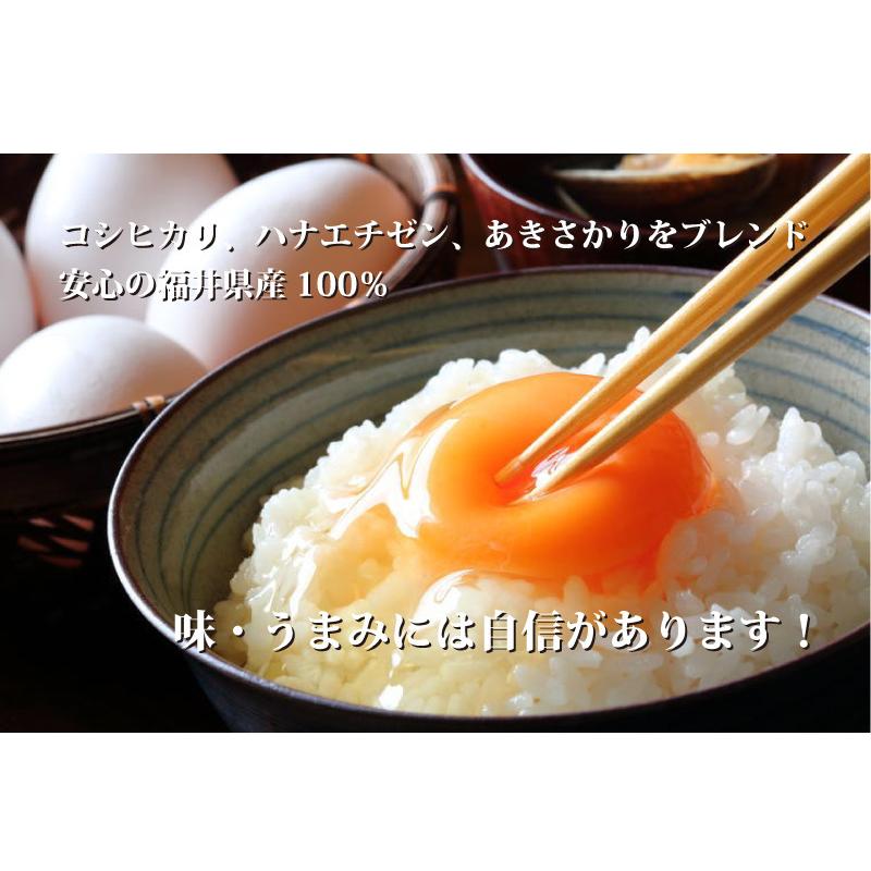 福井米 令和５年産 福井県産米10割 24kg 白米 安い 8kg×3 ブレンド米 生活応援米 送料無料