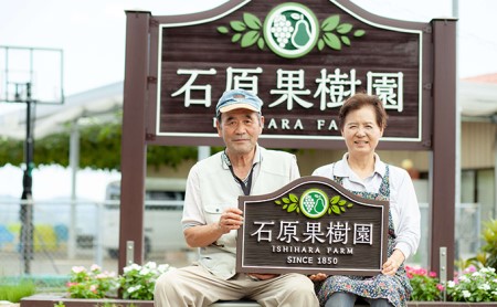 石原果樹園の備前乙女米 玄米 10kg×1袋 ライス  お米 ライス  乳酸菌栽培 岡山県