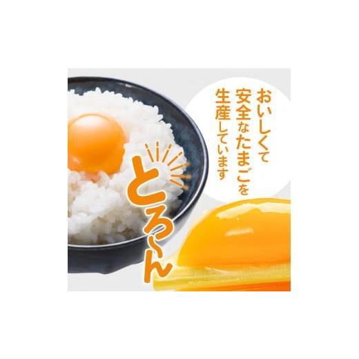 ふるさと納税 熊本県 天草市 S061-004_平飼い 有精卵 30個 卵 たまご