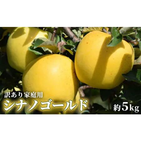 ふるさと納税 パリッとした食感のシナノゴールド訳あり家庭用　約5kg 長野県箕輪町