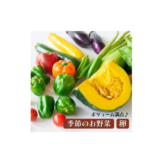 ふるさと納税 栃木県 益子町 AA002＜3か月定期便＞旬の採れたてぜいたく野菜セット（卵付き）2人用