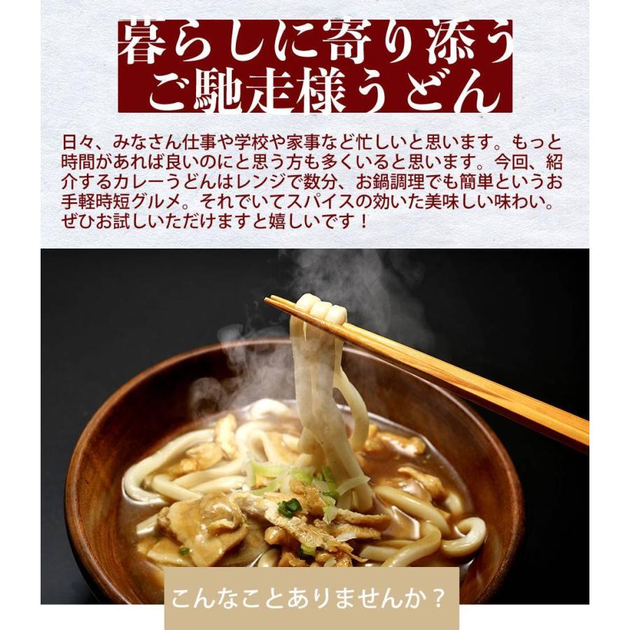 レンジで簡単 讃岐カレーうどん 4食 セット 生麺 お試し 讃岐 うどん カレー 電子レンジ 時短 産直 グルメ 食品 お取り寄せ 得トクセール ポイント消化 送料無料