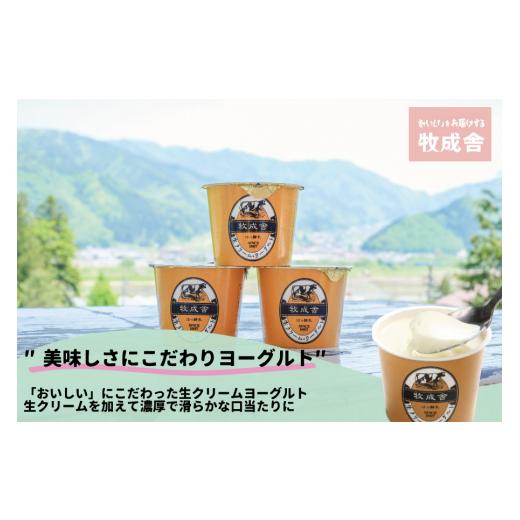 ふるさと納税 岐阜県 高山市 ＜牧成舎＞ カップ ヨーグルト (30個セット) 飛騨の牛乳屋、こだわりのヨーグルト 飛騨高山  a569