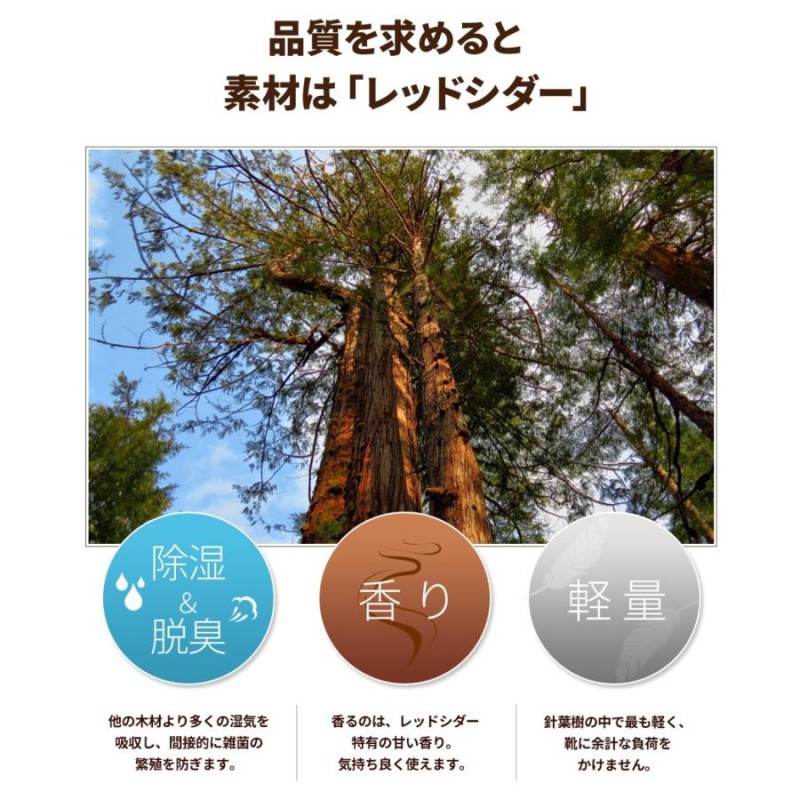 楽天ランキング１位 22.5-29cm フォレストヒル シューツリー FOREST