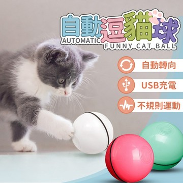 【台灣快速出貨 USB充電 貓玩具】自動逗貓球 貓咪玩具 電動逗貓球 逗貓球 自動逗貓球 寵物 貓 貓咪玩具 滾動逗貓