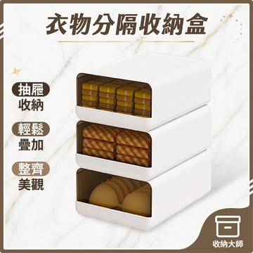 台灣現貨 衣物收納盒 內衣收納盒  抽屜收納盒 分格收納 內衣 襪子 收納 分隔收納組 衣物收納 收納大師