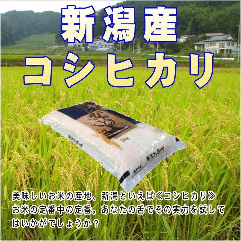 新潟県産 白米 コシヒカリ 5kg 令和4年産