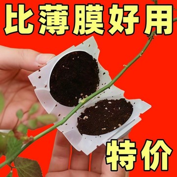 🔥熱賣🔥專用高壓繁殖盒控根器扦插嫁接高壓包繁殖球繁殖器生根盒育苗盤