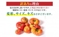   八代市産 規格外トマト 2kg 熊本県 トマト 野菜 