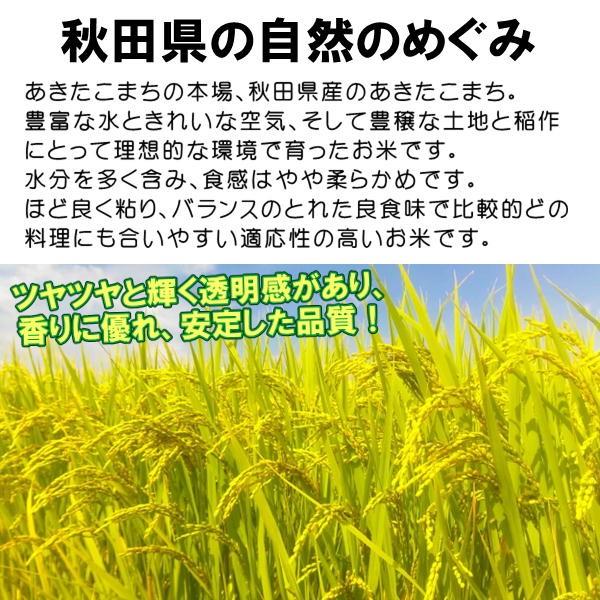 秋田県産 あきたこまち 10kg 新米 令和5年産 2023年 甘み 粘り 噛みごたえのバランスがとれたお米です ごはん ご飯