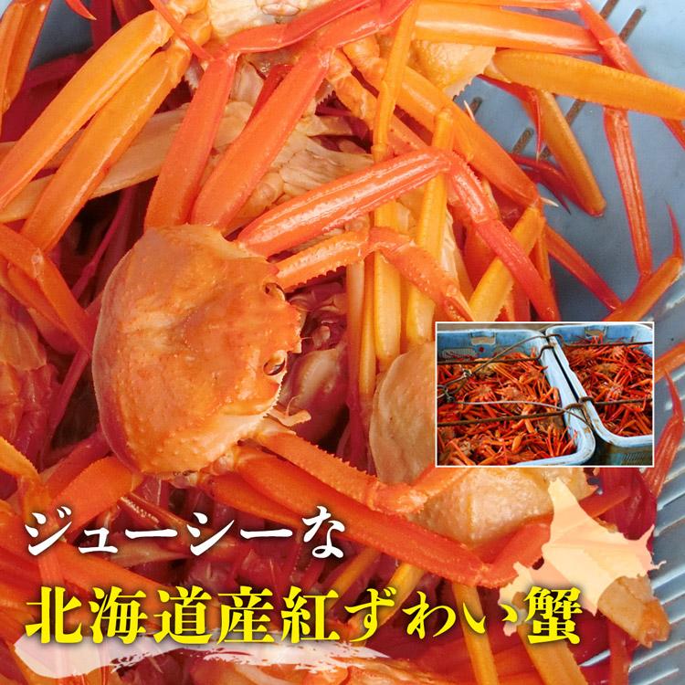 かに カニ 蟹 北海道産 生 紅ずわい蟹 ポーション 500g 甘い カニ 蟹 送料無料 ズワイガニ ポーション グルメ お歳暮 ギフト 10%クーポン