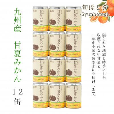 ふるさと納税 松浦市 缶詰工場直送　特選果実「旬ほとぎ」甘夏みかん12缶