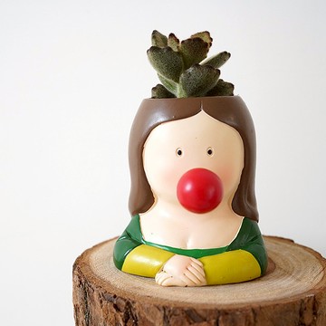 【竒植花物】泰迪熊多肉盆栽 蒙娜麗莎 多肉盆栽 生日禮物