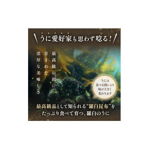 ふるさと納税 北海道 羅臼町 ＜先行予約＞天然 エゾバフンうに （上）塩水うに 100g×2  2024年1月中旬から発送 ミョウバン不使用 北海道知床羅臼産  UNI-0121