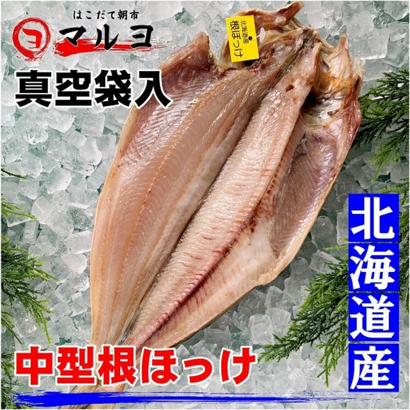 ほっけ 根ホッケ 干物 真空1枚 北海道産 真ほっけ 一夜干し 焼き魚 通販 Lineポイント最大0 5 Get Lineショッピング