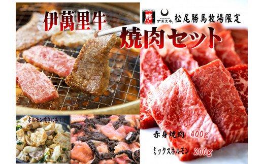 伊万里牛焼肉セット 赤身400g ミックスホルモン200g 焼肉だれ付 J728