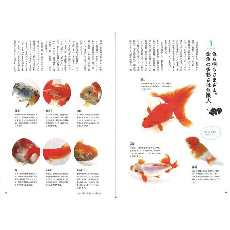 ときめく金魚図鑑