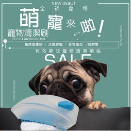 GS MALL 專業沙龍級 寵物萬用清潔刷 梳毛梳 寵物清潔刷 美容刷 毛髮梳 寵物刷 寵物毛髮護理 寵物美容 毛梳