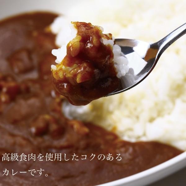 肉屋のカレー レトルトカレー  特製ビーフカレー 岡山県 高級肉使用 詰合せセット 200g×5 5人前 こだわり 濃厚な味