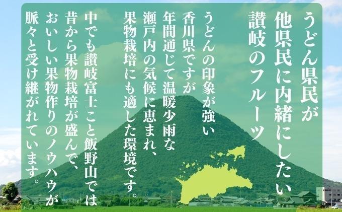 フルーツ 定期便 9回 丸亀のフルーツ 旬のお届け 果物 果物類 シャインマスカット みかん 桃 キウイ ぶどう 厳選 旬 詰め合わせ お楽しみ