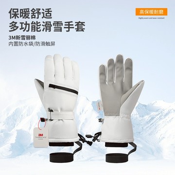 【台灣現貨速發】3M防水暖手套｜男女耐寒特厚保暖手套  滑雪特厚保暖手套  騎行登山 手套 防風手套 質感 時尚手套