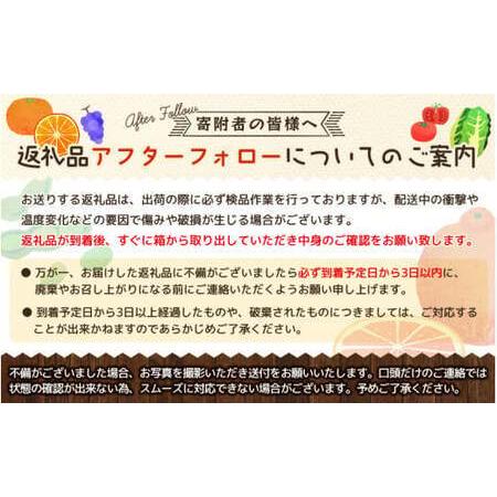 ふるさと納税 ＜3月上旬〜＞濃厚清見オレンジ（ご家庭用）　約10kg※2024年３月上旬〜３月下旬頃に順次発送予定 ※着.. 和歌山県広川町