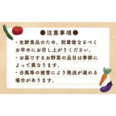 ふるさと納税 地元の農家さんが収穫した旬のお野菜 詰め合わせセット 地元の農家さんが収穫した旬のお野菜 詰め合わせセット 野.. 長崎県南島原市