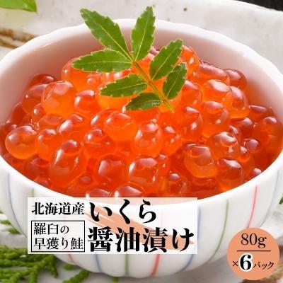 ふるさと納税 小樽市 いくら醤油漬け80g×6P