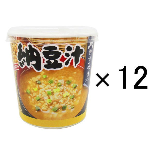 神州一味噌神州一味噌 おいしいね！！ 納豆汁 12個