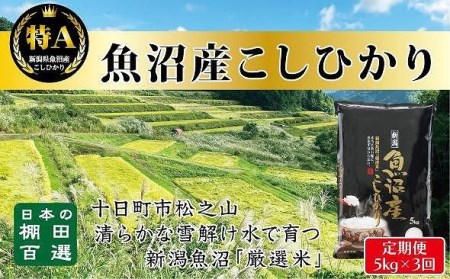 食味鑑定士が選ぶ　日本棚田百選のお米　天空の里　　魚沼産こしひかり５kg（5kg ×１）×全３回