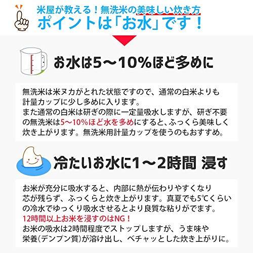  はえぬき 5kg 山形県産 令和4年産 米