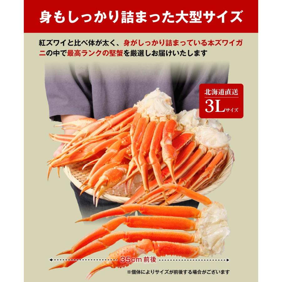 送料無料 ズワイガニ ボイル 脚 約2kg 約4人前 ズワイ蟹 大量 ずわいがに 北海道直送 カニ かに 海鮮ギフト お歳暮 御歳暮 クリスマス