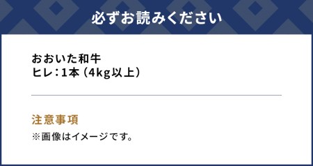 おおいた和牛 ヒレ肉 1本(4kg以上) 和牛 牛肉 豊後牛 国産牛 赤身肉 焼き肉 ステーキ肉 大分県産 九州産 津久見市 国産