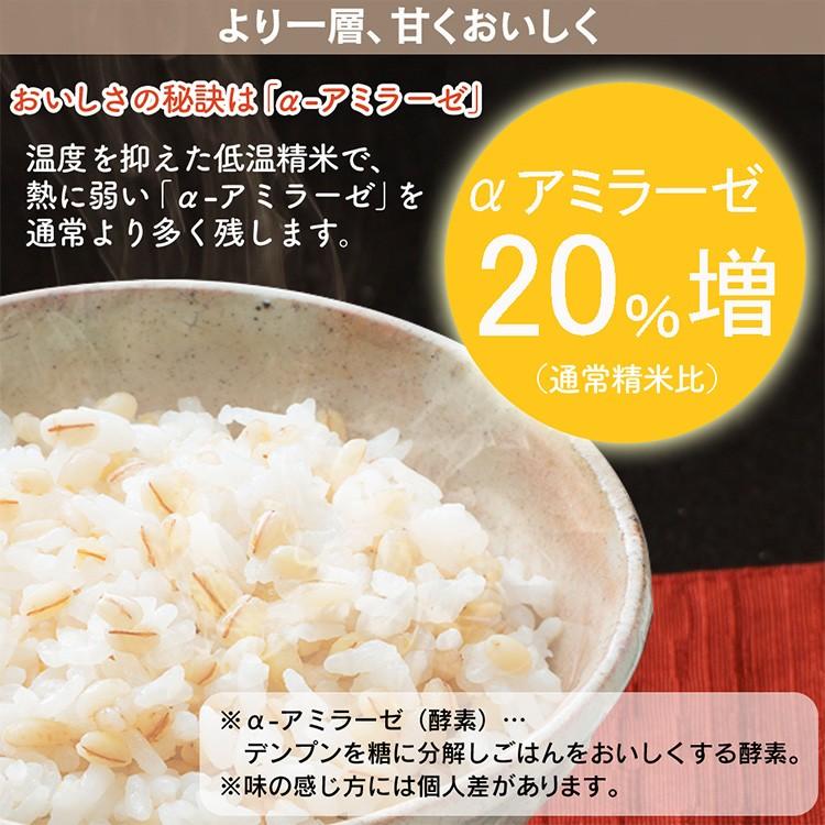 レトルトご飯 パックご飯 ごはん パック レンジ 低温製法米 おいしいごはん もち麦ごはん角型 150g　24パック アイリスオーヤマ