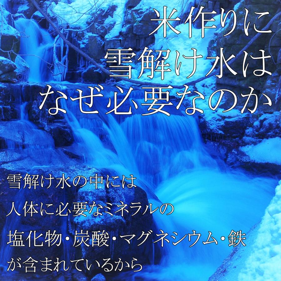 新米 米10kg 米 つや姫 白米 10kg 送料無料 高級 特別栽培米 山形県産 令和5年産 美味しいお米 氷河米 山形 庄内 農家直送