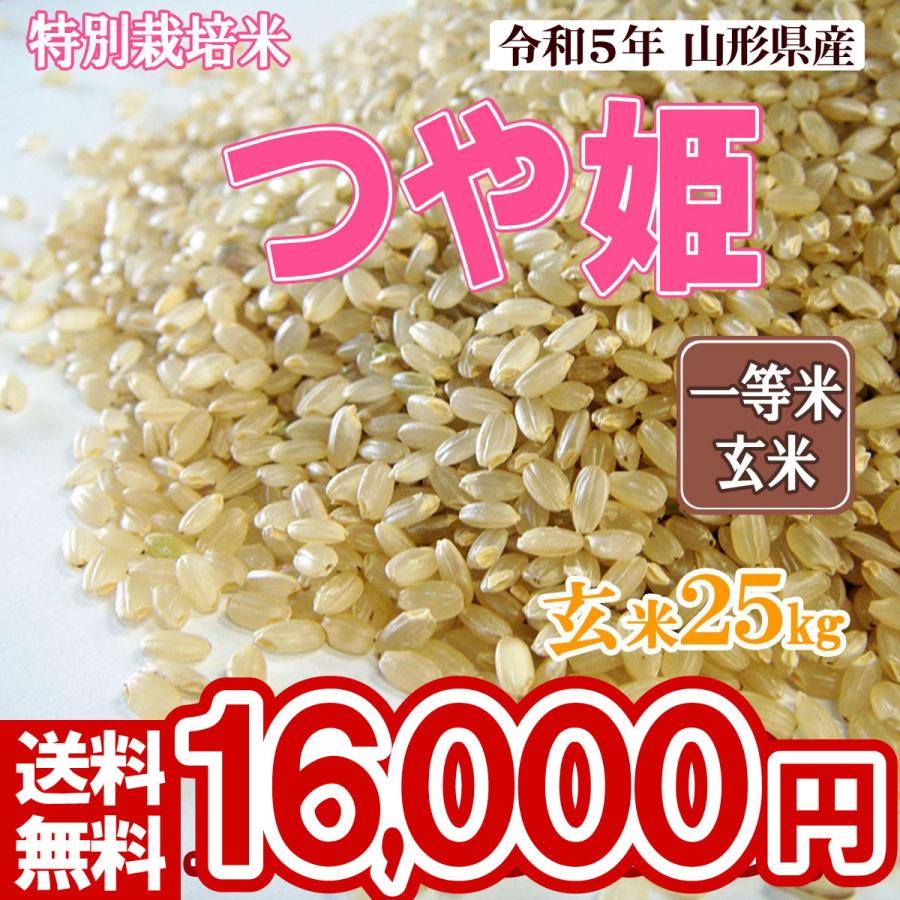 令和5年 山形県産 特別栽培米 つや姫 玄米 25kg(5kg×5)（送料無料）