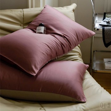 ❗超值回饋款❗60支天絲枕頭套加大 奧地利蘭精天絲枕套一對 素色枕套 萊賽爾纖維