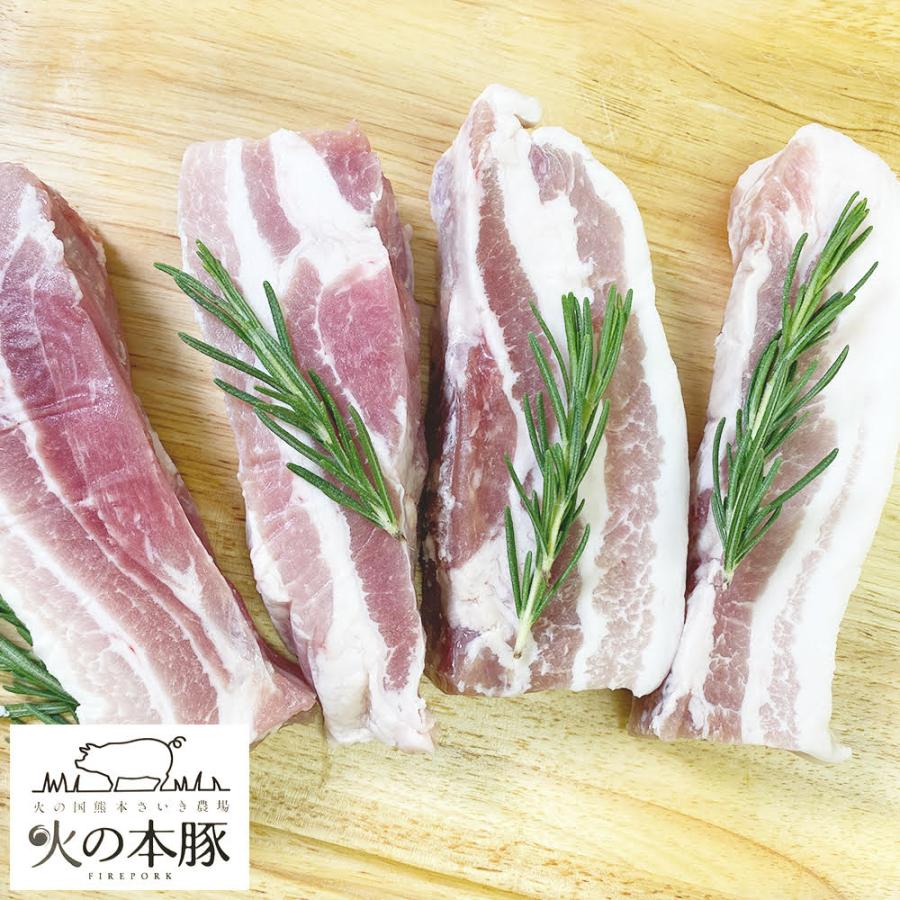 豚バラ ブロック 250g×３ 750g 国産 熊本県産 豚肉 火の本豚 さいき農場 冷凍配送