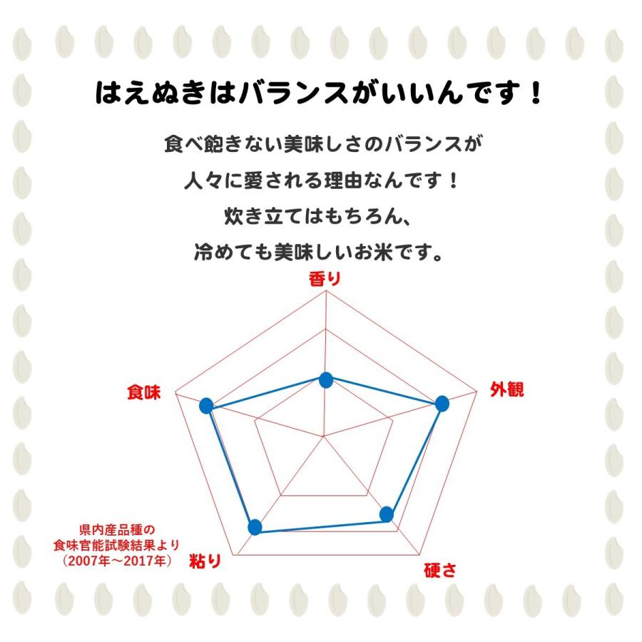 令和４年 はえぬき 5kg 白米 山形県 庄内産 おにぎりやお弁当に