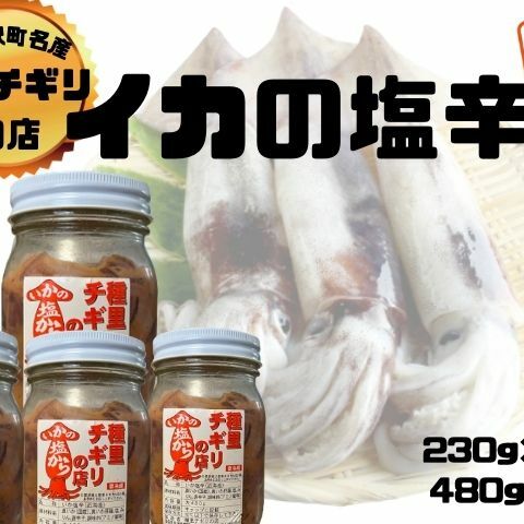 いか塩辛 中セット 合計1,170g（480g×1瓶、230g×3瓶）