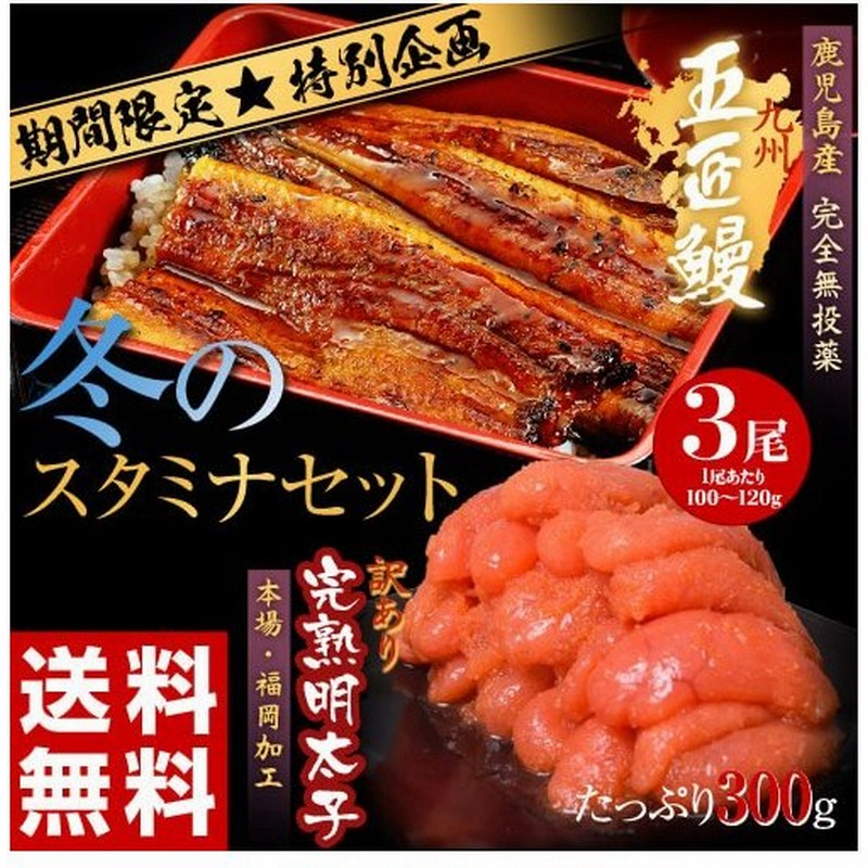 限定 セット 鰻 明太子 めんたいこ 送料無料 国産うなぎ 五匠鰻 3尾 1尾あたり100 1g ギフト用の訳あり 福岡加工 完熟明太子 切れ子 300g 冷凍 通販 Lineポイント最大0 5 Get Lineショッピング