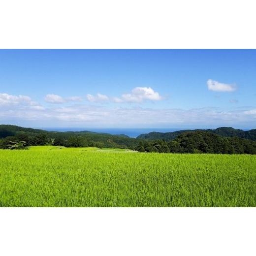 ふるさと納税 富山県 氷見市 令和5年産 富山県産 コシヒカリ 長坂の棚田米 4kg （玄米） ＜9月末以降順次発送＞ 富山県 氷見市 こしひかり 棚田