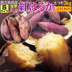 予約開始 さつまいも 紅はるか A品 生芋Sサイズ80g～130ｇ土つき 鹿児島 産地直送 3kg×1箱 送料無料 S常