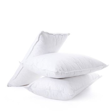 蠟筆派抱枕芯羽絨抱枕腰枕芯歐式簡約靠枕客廳沙發抱枕家居靠背