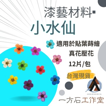 【一方石】小水仙花 正壓 漆藝貼葉蒔繪材料 隔日配 真花乾燥素材 12片/包 滴膠樹脂封入 DIY手作素材 台灣現貨