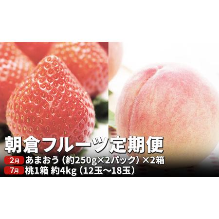 ふるさと納税 定期便 フルーツ 2回 限定 数量 いちご 約1kg もも 約4kg フルーツ定期便 朝倉 2024年発送 お届け 桃 モモ イチゴ あまおう 果物 .. 福岡県朝倉市