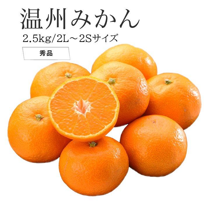 お歳暮 みかん 温州みかん 産地厳選 秀品 2L〜2Sサイズ 2.5kg 蜜柑 ミカン ギフト お取り寄せ