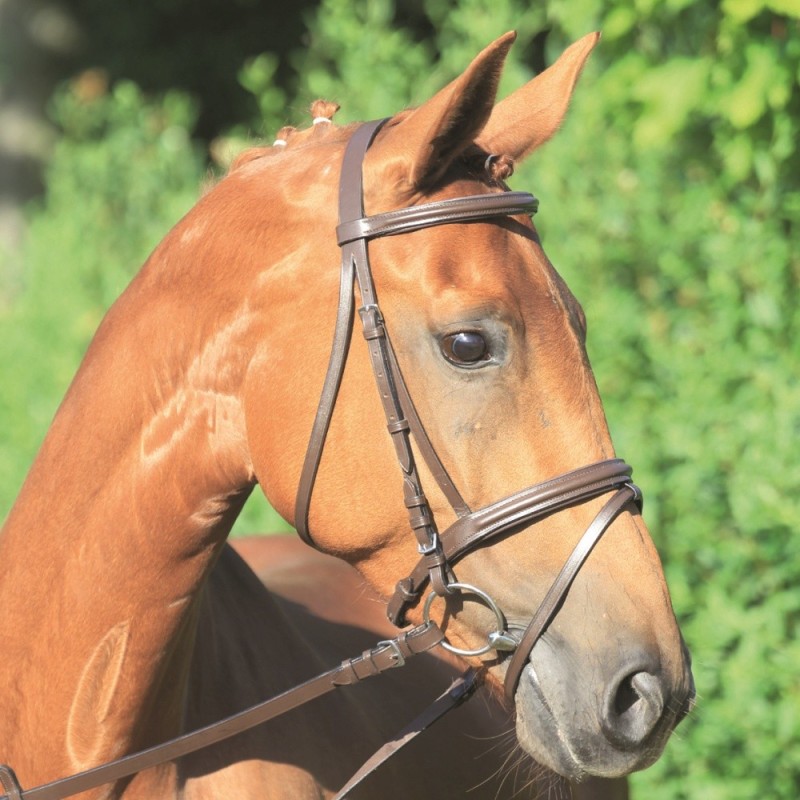 スタンダード水勒頭絡・手綱セット WBRA2 本革レザー 馬具 乗馬用品 | LINEブランドカタログ