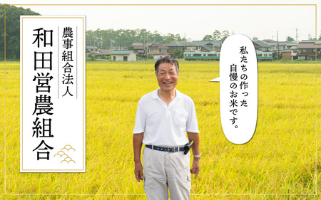 和田の里米 コシヒカリ 白米(精米) 10kg×3回 計30kg