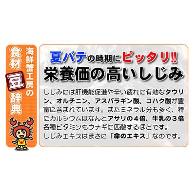 しじみ 500g しじみ 味噌汁 ギフト 北海道 網走湖産 砂抜き済 しじみ汁 お取り寄せ グルメ オホーツク 網走 プレゼント 誕生日祝 御祝 御礼 内祝